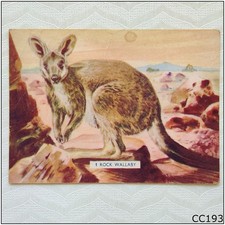 Sanitarium Australian Birds Animals #1 Rock Wallaby Ceral Swap Card (CC193)