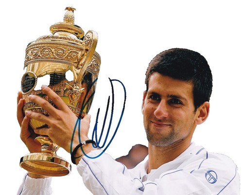 NOVAK DJOKOVIC SIGNED 2019 WIMBLEDON CHAMPIONSHIP FINALS TICKET