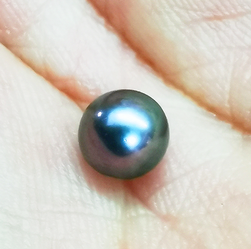 Bezaubernde 10-11mm Südsee echte schwarze Pfau lose runde Perle ungebohrt