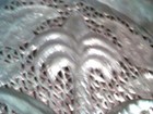 Bild 5 von 8