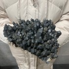 Foto 2 di 8