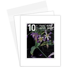 Golden State Art Double Picture Mats for 8x10 Photos - White Core Bevel Cut