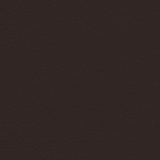 Lexus Noble Brown Leather Dye