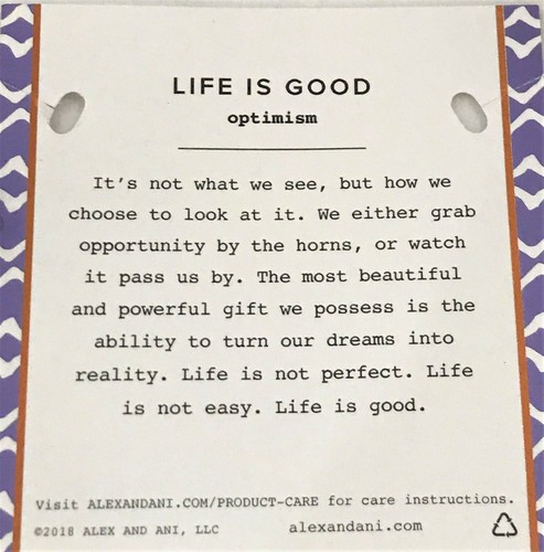 Alex and Ani Life Is Good Bracelet Beautiful 2 Bangle Set "Optimism" - Picture 3 of 3