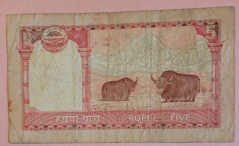 NEPAL FIVE RUPEES (RARE DOUBLE OX)  UNCIRCULATED BANKNOTE,  Combined Shipping.