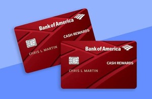 Bank of America $20,000 Limit, Authorized User Three(3) Months Only $299-