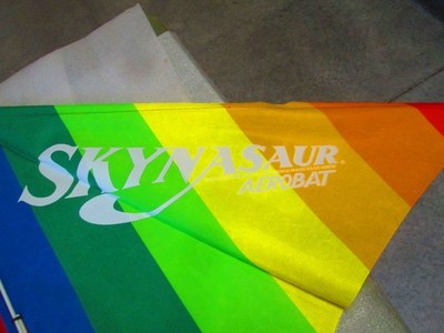 Vtg 1981 Skynasaur Aerobat Rainbow Colored Nylon Kite 60'' Wide & Aerobat Bag