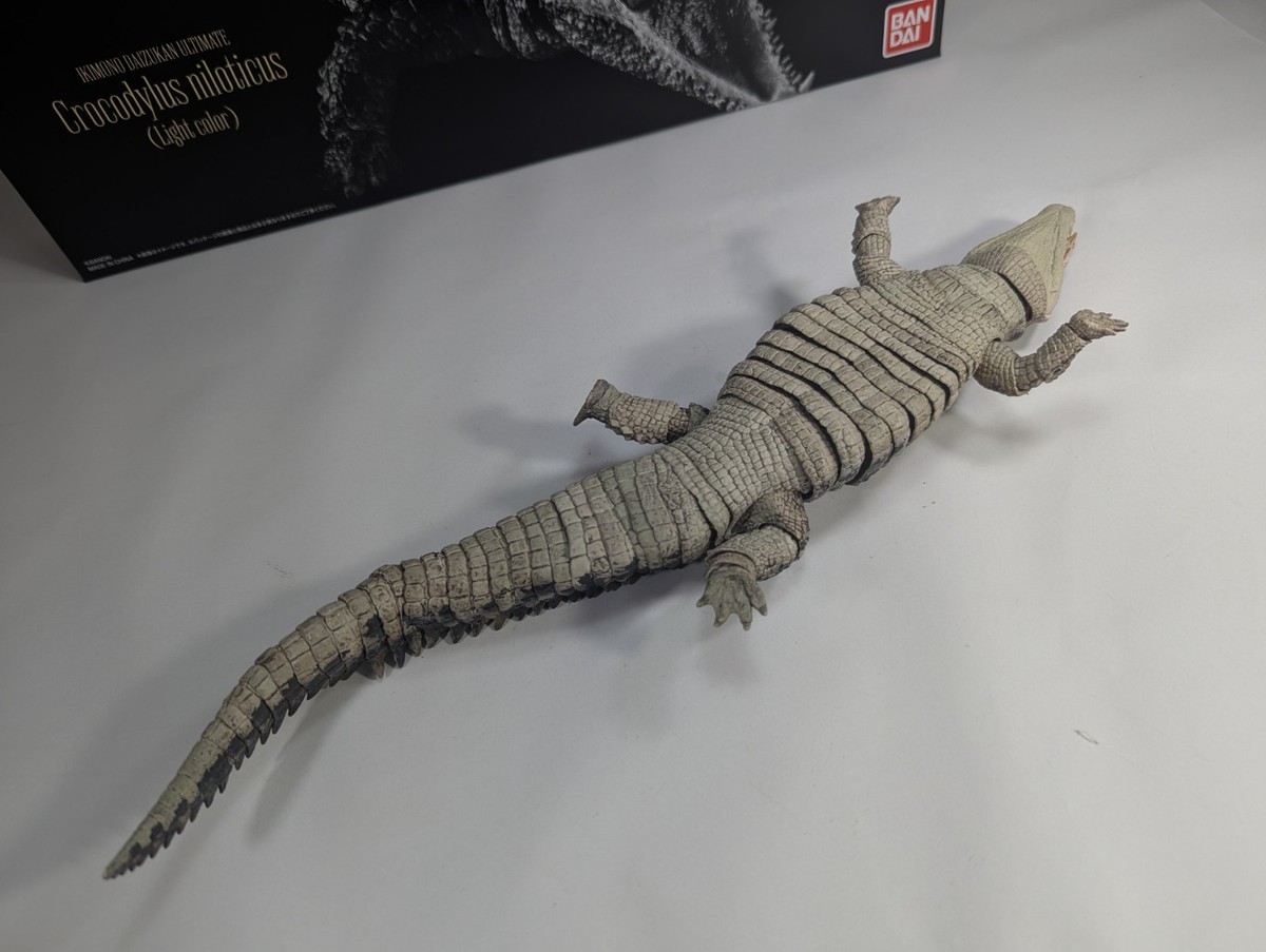 NEW* The Diversity of Life Nile Crocodile (Light Color) Figure