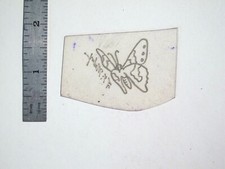 vtg 1960s 1970s Tattoo Flash acetate stencil Butterfly Tiny 3/4 view signed BF2