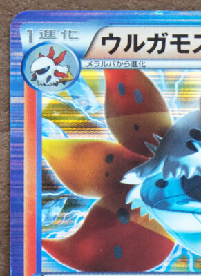 フウロSR 076/070ＢＷ7　1EDITION Pokemon Bw7 1Sted 076/070 Fuuro Sr | eBay