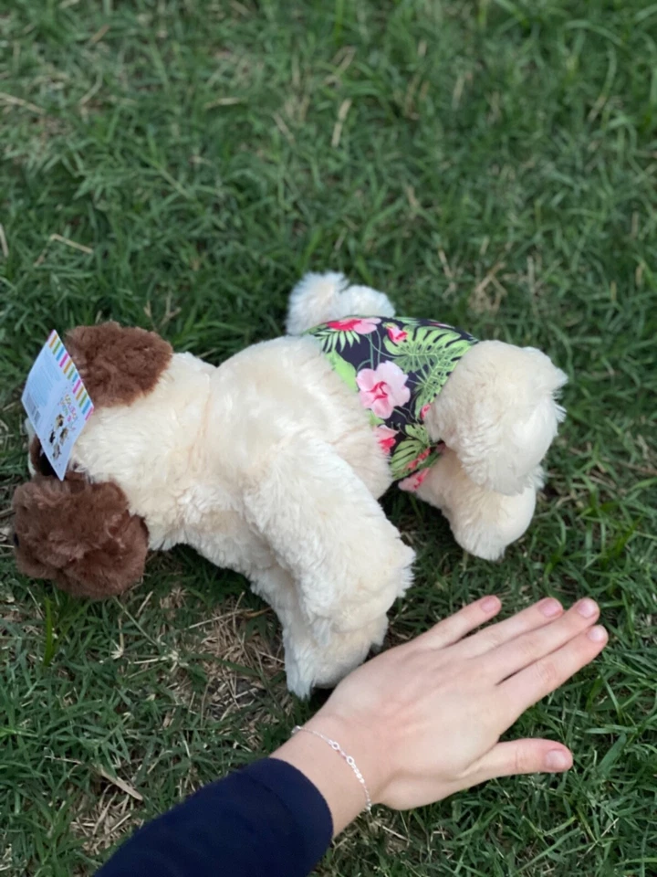 2 juguetes de peluche nuevos para cachorros para niños 0-3 años Foto 3 de 4