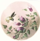 Hummingbird Fuchsia Flower Overglaze Waterslide Ceramic Decals
