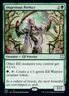 1 x Imperious Perfect - Commander: Kaldheim - NM-Mint - MTG