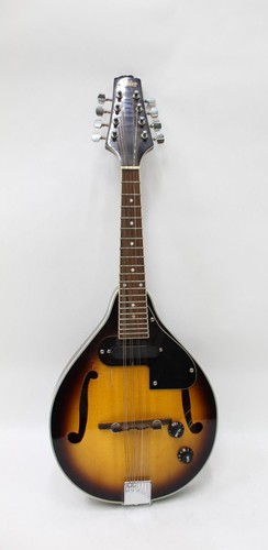 Rover RM-25S Student A-model Mandolin - Sunburst