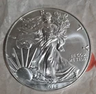 2018 American Silver Eagle 1 oz .999 Uncirculated ASE