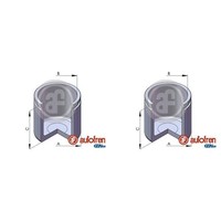 2X Autofren 52Mm Kolben Bremssattel Vorne Passend FüR CitroËN Jumper Fiat Ducato