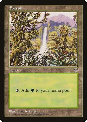 20 Basic Land - SAME ART - Forest - Mirage - MP-NM Condition - Magic MTG FTG