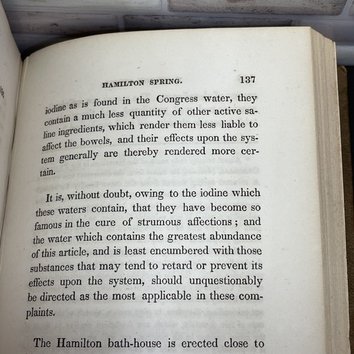 1838 Analysis Of the Mineral Waters Of Saratoga And Ballston, Dr Steel, 2nd Ed - Imagen 13 de 23