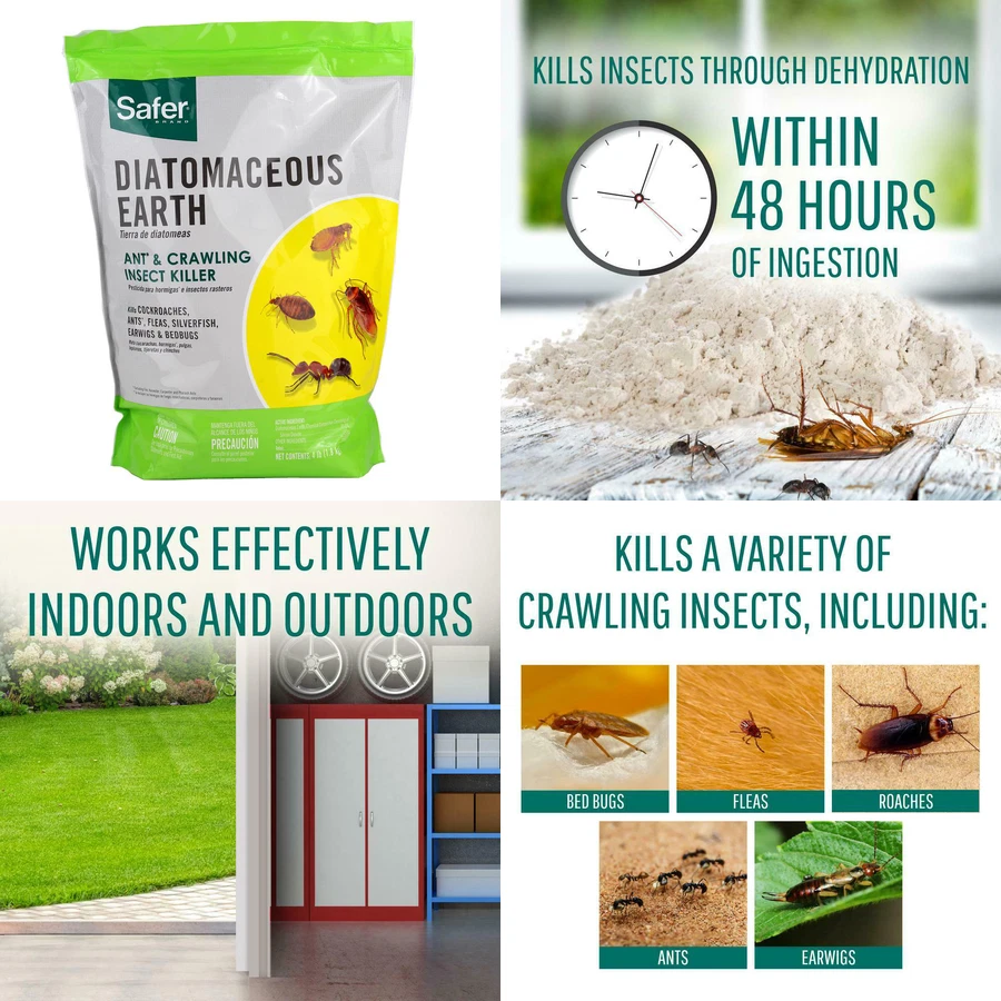 Diatomaceous Earth For Fleas