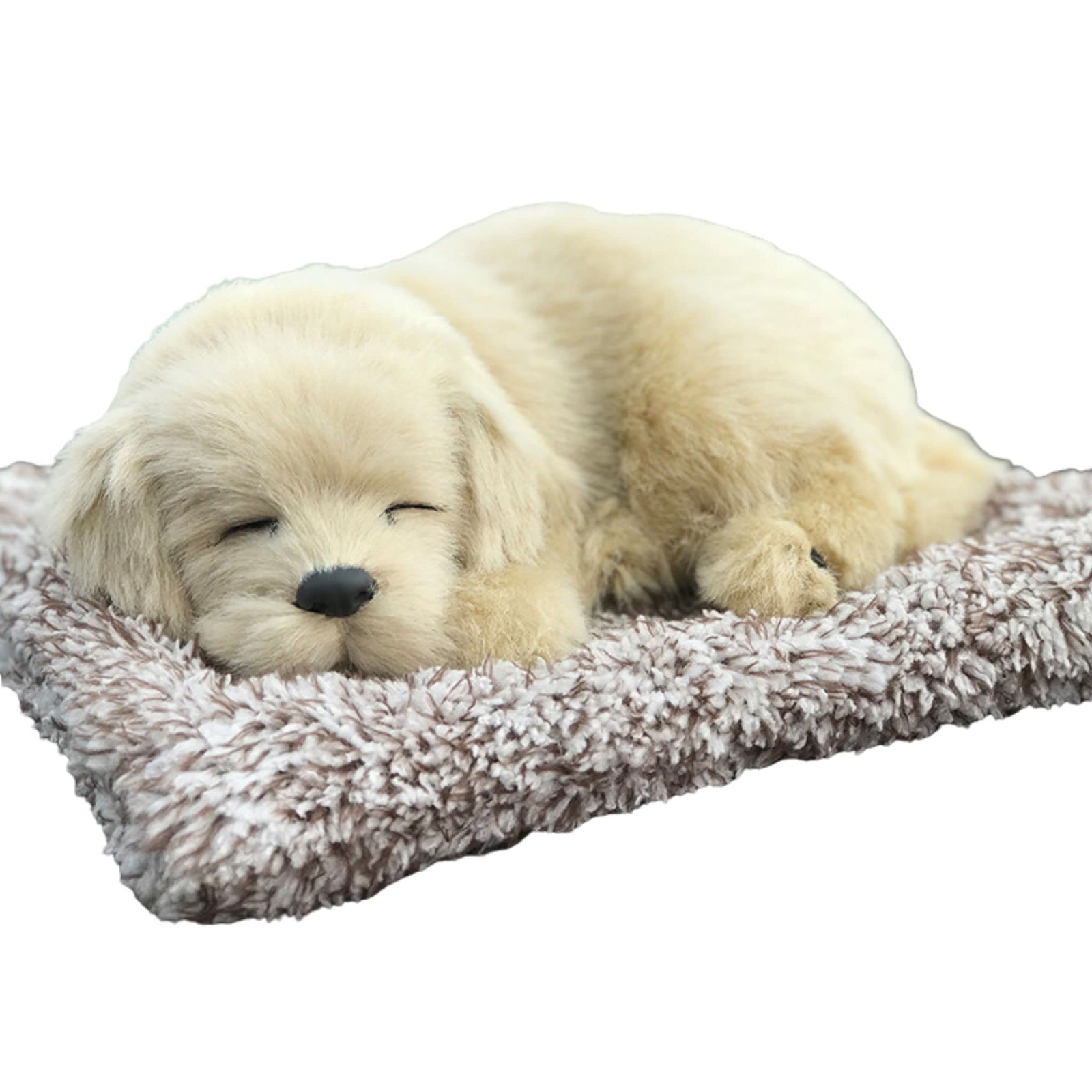 TASINO Dog Plush Toy Figurine Labrador 26 x 18 cm Realistic Cute Realistic