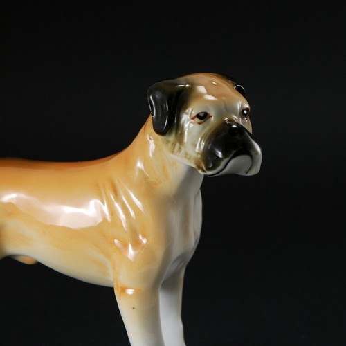 Dogue de Majorque SUPERBE figurine en porcelaine de Saxe 1920-1939 Hundedogge