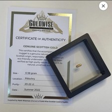 Incredibly rare scottish 0.58g Goldwise Gold Nugget With COA