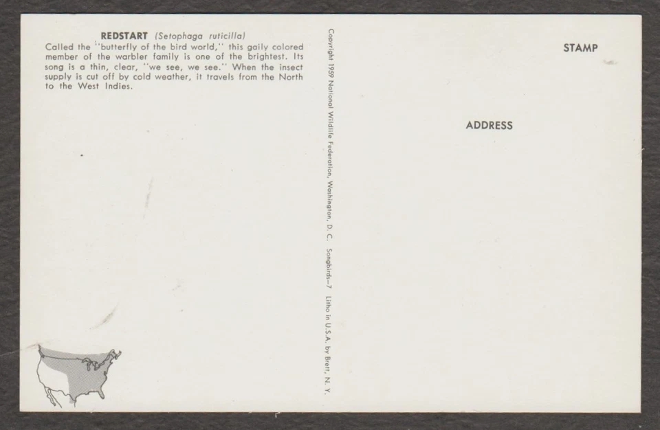 U.S. - TWO MINT BIRD POST CARDS - - Image 4 of 4