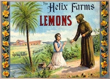 Spring Valley Plantation The Helix Farms Lemon Citrus Fruit Crate Label Print