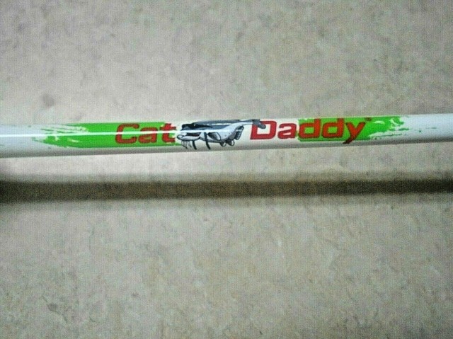 lews cat daddy fishing pole