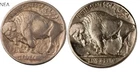 1913 TY1 + 1913 TY2 Buffalo Nickel Lot ~ XF/AU ~ Both  Type 1 & Type 2 Coin Set