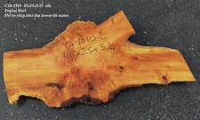 Poplar burl  live edge slab  DIY craft ideas  River Table  C24-1310