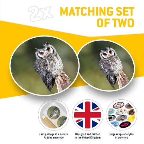 2 x Vinyl Stickers 20cm - Southern White Faced Owl Bird Nature Wild #46321 - 第 2/8 張圖片