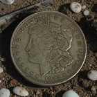 10 EA 1921 P D or S $1 Morgan Silver Dollar Brilliant Excellent Condition