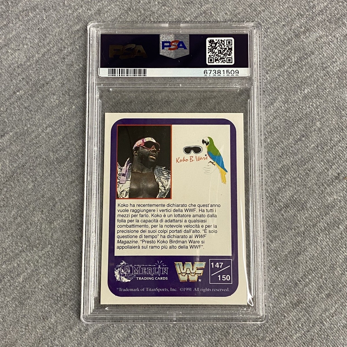 1991 Merlin WWF - Koko B. Ware #147 Italian for sale online | eBay