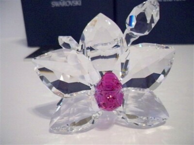 新品❣️希少品SWAROVSKI CRYSTAL FLOWER Swarovski Figurine: 864464 Orchid Blossom