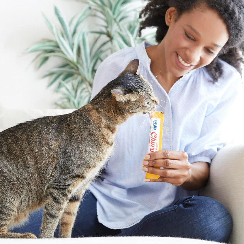200 Tubes, INABA Churu Cat Treats, Vitamin E & Taurine, 0.5 Ounces Each Tube