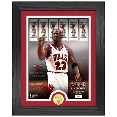 Michael Jordan Chicago Bulls NBA Champion Coin Bild Highland Mint