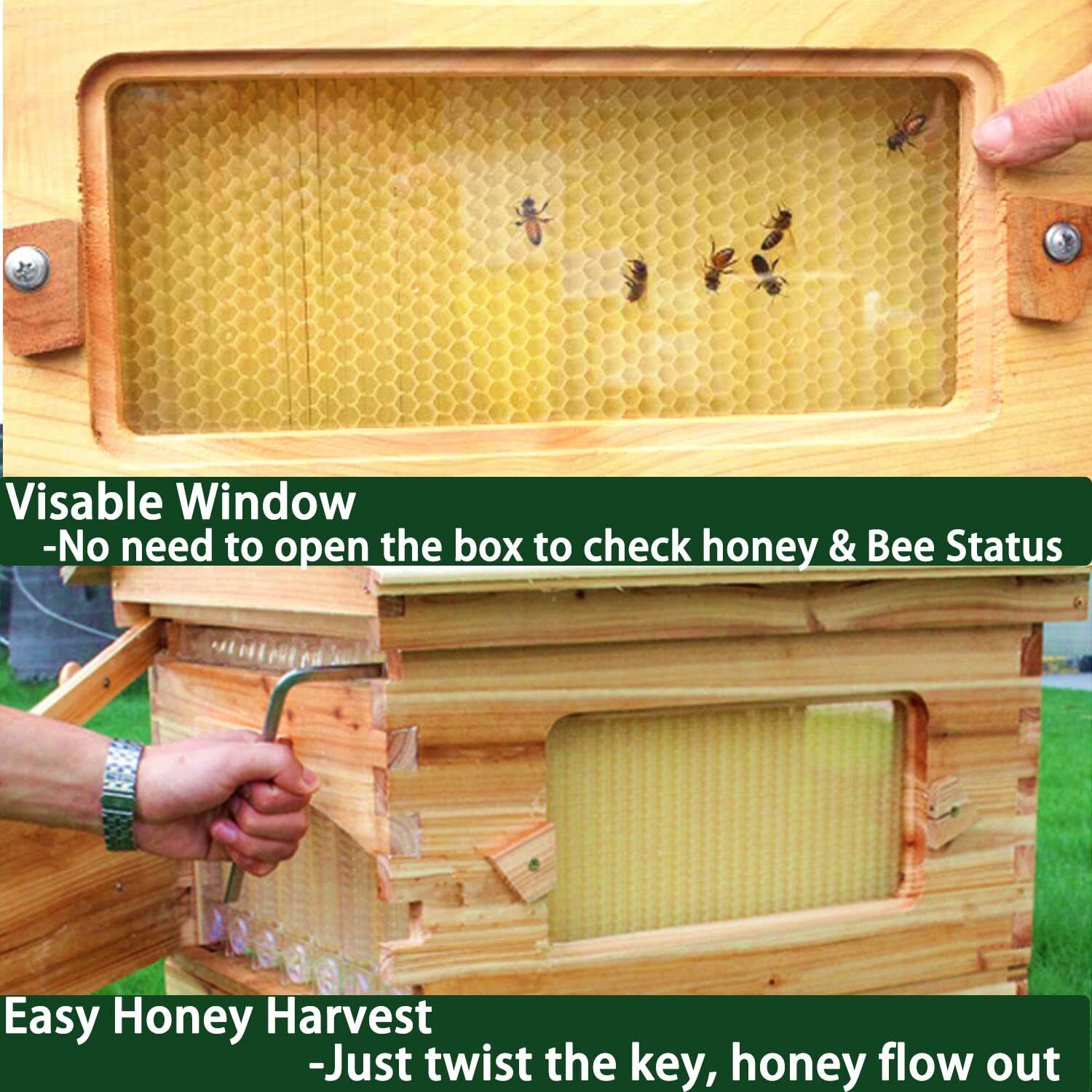 20 Pcs Auto Beekeeping Honey Hive Beehive Frames + 2X Wooden Cedarwood House Box