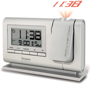 alarm scientific rm308