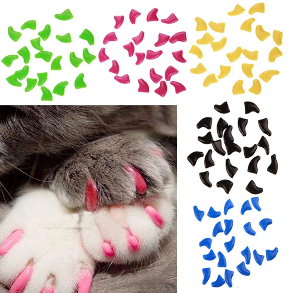 GetUSCart- zetpo Cat Nail Caps | Cat Claw Covers | with Adhesives and  Applicators (S, 5X Glitter Random Colors | 100 pcs)