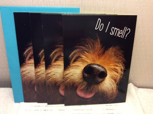 AVANTI BIRTHDAY GREETING CARDS New w/envelopes LOT OF 4 "Do I Smell