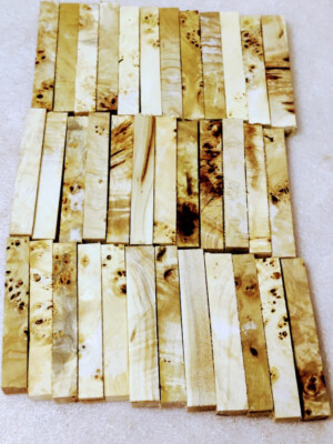  Pen Blanks 10 Stück Pappel Maser 22 x 22x 150 mm Poplar burl           