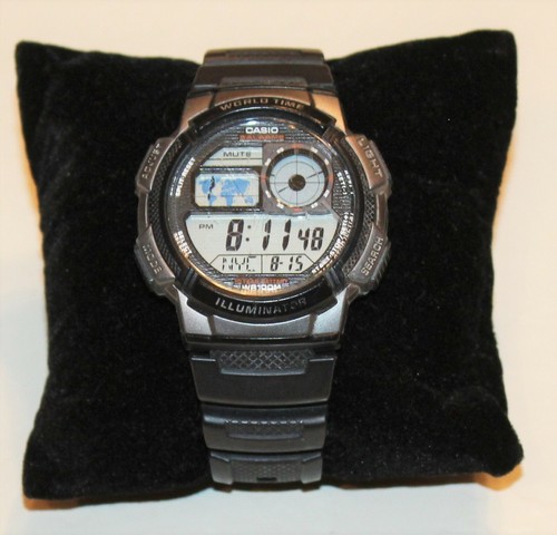 casio 3198