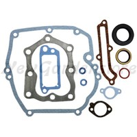 Satz Dichtungen AufsitzmäHer RasenmäHer FüR Briggs & Stratton 493263