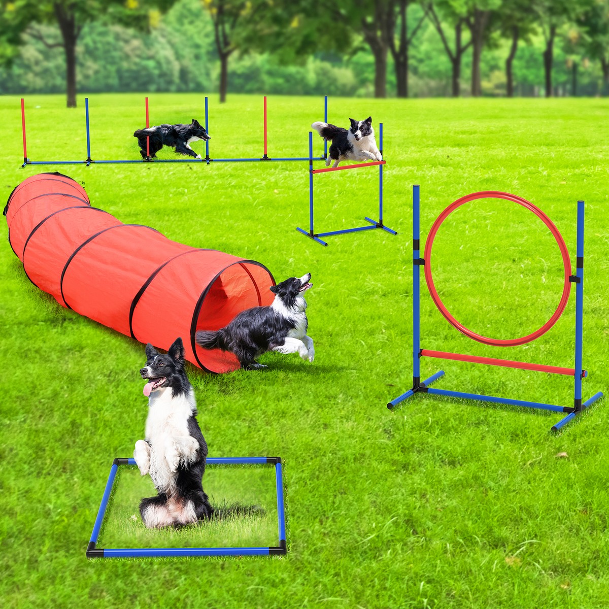 Set ALDI Custom Hot-selling Training Equipment Tunnel Poles