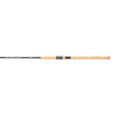 Shimano TALAVERA INSHORE SPINNING D, Saltwate...