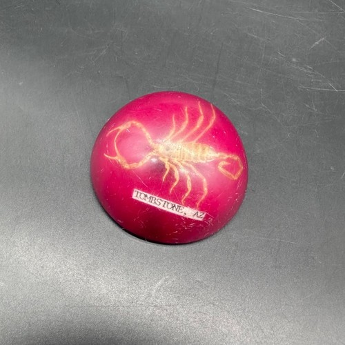 Vintage Scorpion Paperweight Tombstone Arizona Souvenir Decor Pink Red As Is