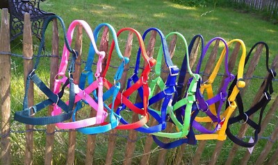 Halfter, Gurthalfter für Schaf/Lama/Alpaka Kopfhalfter, alle Größen !   *NEU*