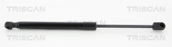 Heckklappen DäMpfer Gasfeder Kofferraum Triscan 8710 292107 FüR VW UP 121 122-image