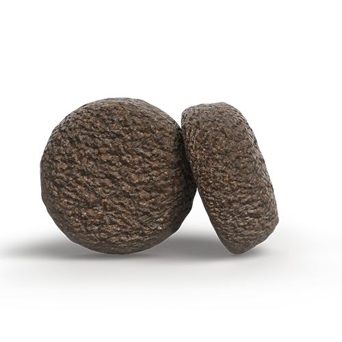 JOSERA Salmon & Potato (12,5kg) | getreidefreies Adultfutter - Bild 2 von 2